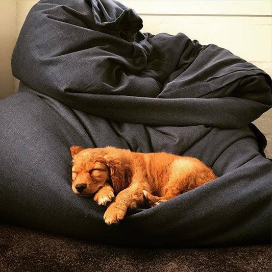 black beanbag
